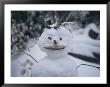 A Smiling Snowman With Twig Arms by Bill Curtsinger Limited Edition Pricing Art Print