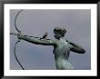 Mockingbird Atop A Bronze Sculpture Of Diana By Augustus Saint-Gaudens by Raymond Gehman Limited Edition Print