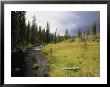 Bechler Meadows, Yellowstone National Park, Wyoming by Raymond Gehman Limited Edition Print