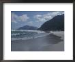 People And Their Pets Walk Along The Beach At Kommetjie by Stacy Gold Limited Edition Print
