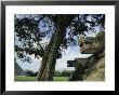 Chichen Itza Scene by Steve Winter Limited Edition Pricing Art Print