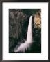 View Of Yosemite Falls by Marc Moritsch Limited Edition Print