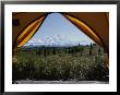 Tent Flaps Open To A Breathtaking View Of Mt. Mckinley by Stacy Gold Limited Edition Print
