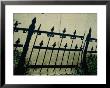 The Shadow Of A Wrought-Iron Fence Throws A Pattern Across The Sidewalk by Stephen St. John Limited Edition Print