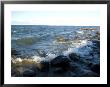 Along The Shores Of Leech Lake, Mn, Walker, Minnesota by Joel Sartore Limited Edition Print