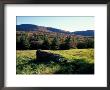 Stone Wall In The Green Mountains, Vermont, Usa by Jerry & Marcy Monkman Limited Edition Print