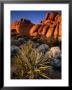 Hidden Valley, Joshua Tree National Park, California by John Elk Iii Limited Edition Pricing Art Print