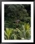 Wooden Shack On A Hill Side In A Rain Forest by Todd Gipstein Limited Edition Print