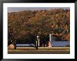 Fall Colors And A Field Of Dried Soybeans In Pleasant Gap, Pennsylvania, October 20, 2006 by Carolyn Kaster Limited Edition Pricing Art Print