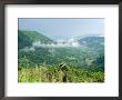 Skyline Drive, Shenandoah National Park, Virginia, Usa by Ethel Davies Limited Edition Print