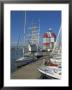 Yachts Moored Near The Uitken Lookout In Gothenburg, Goteborg Harbour, Sweden, Scandinavia by Neale Clarke Limited Edition Print