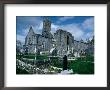 Ruin Of Ennis Friary, Founded By O'brien Kings Of Thomond In 13Th Century, Ennis, Ireland by Tony Wheeler Limited Edition Print