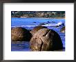 Moeraki Boulders, Moeraki, New Zealand by John Banagan Limited Edition Print