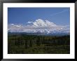 View Of The Tallest Mountain In North America, Mt. Mckinley by Stacy Gold Limited Edition Print