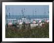 Umbrellas With Sea Grass, Myrtle Beach, Sc by Jim Mcguire Limited Edition Print
