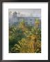 View Over Palm Trees Of The Mist-Shrouded San Ignacio Mission by Bill Hatcher Limited Edition Pricing Art Print