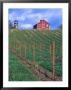 Red Barn Above Vineyard, Dry Creek Valley, California, Usa by John Alves Limited Edition Print