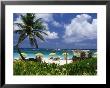 Dawn Beach On St. Martin, Caribbean by Greg Johnston Limited Edition Print