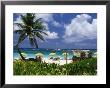 Dawn Beach On St. Martin, Caribbean by Greg Johnston Limited Edition Pricing Art Print