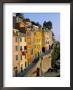 Village Of Riomaggiore, Cinque Terre, Unesco World Heritage Site, Liguria, Italy by Bruno Morandi Limited Edition Print