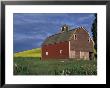 Red Barns And Canola Fields, Eastern Washington, Usa by Darrell Gulin Limited Edition Print