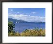 Loch Lomond, Strathclyde, Scotland, United Kingdom by Kathy Collins Limited Edition Print