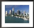 City Skyline, Miami, Florida, Usa by Gavin Hellier Limited Edition Print