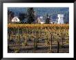 Old-Fashion Farmhouse, Barn And Watertower, Napa Valley, California, Usa by Janis Miglavs Limited Edition Print