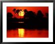 Tropical Sunset, Botswana by Charles Sleicher Limited Edition Print