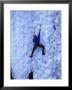 Ice Climbing In Colorado by Bill Hatcher Limited Edition Pricing Art Print