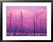 Elliot Bay Marina With Mount Rainier At Sunset, Seattle, Washington, Usa by Jamie & Judy Wild Limited Edition Print