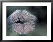 Lip Imprint On Window by William Sutton Limited Edition Print