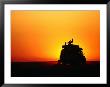 Tourist Watching Sunset On Roof Of Safari Vehicle, Central Kalahari Game Reserve, Botswana by David Wall Limited Edition Print