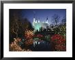 Colored Lights Decorate Bushes On The Mormon Temple Grounds by Karen Kasmauski Limited Edition Print