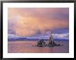 Towers Of Calcium Carbonate Called Tufa Stand Above The Lakes Surface by Phil Schermeister Limited Edition Print