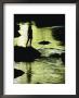 A Woman Is Silhouetted Standing On A Rock Jutting Out From A Stream by Barry Tessman Limited Edition Pricing Art Print