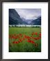 Lake Louise, Banff National Park, Unesco World Heritage Site, Rocky Mountains, Alberta, Canada by Geoff Renner Limited Edition Print