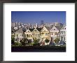 Alamo Square And City Skyline, San Francisco, California Usa by Gavin Hellier Limited Edition Print