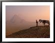 Dawn View Of Guide And Horses At The Giza Pyramids, Cairo, Egypt by Walter Bibikow Limited Edition Print