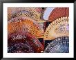 Fans At Stall, El Rastro Market, La Latina, Madrid, Spain by Richard Nebesky Limited Edition Print