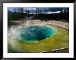 Morning Glory Pool, Yellowstone National Park, Wyoming, Usa by Carol Polich Limited Edition Print