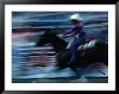 Rider In Rodeo At The Calgary Stampede, Calgary, Canada by Rick Rudnicki Limited Edition Print