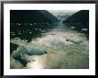 Small Pieces Of Ice Floating In Glacier Bay by Anne Keiser Limited Edition Pricing Art Print