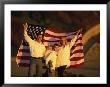 Family Holding Up The American Flag by Lonnie Duka Limited Edition Print