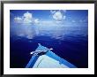 Bow Of Wooden Boat And Ocean, Maldives by John Borthwick Limited Edition Print
