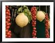 Sorrento Lemons And Cherry Tomatoes, Sorrento, Campania, Italy by Walter Bibikow Limited Edition Print