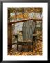 Autumn Leaves On Chair By Lake, Ontario, Canada by Keith Levit Limited Edition Print