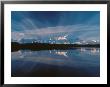 Mt. Mckinley Reflecting In Reflection Pond, Denali National Park, Alaska, Usa by Dee Ann Pederson Limited Edition Print