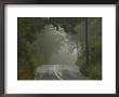 Ireland, Foggy Road In Countryside by Keith Levit Limited Edition Pricing Art Print