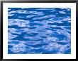 Water Ripples In Swimming Pool, Grande Terre, Guadaloupe, Caribbean by Walter Bibikow Limited Edition Print